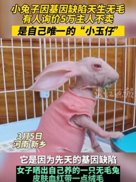 Ů���ڼ�������������ë�� ���˳���5��������