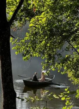 �������2024