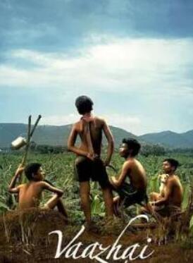 �Ͷ��Ĺ�ʵ2024