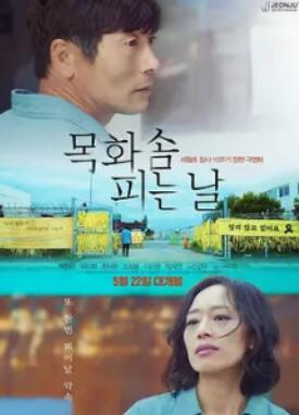 �޻�����������