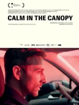 �����ϵ�ƽ��