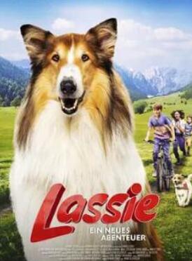 ��Ȯ��������ð��