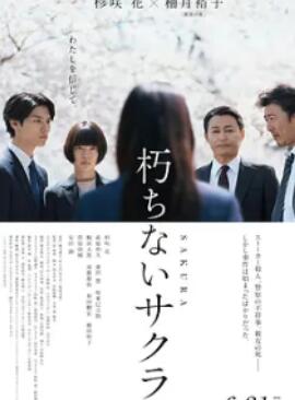 �����ӣ��