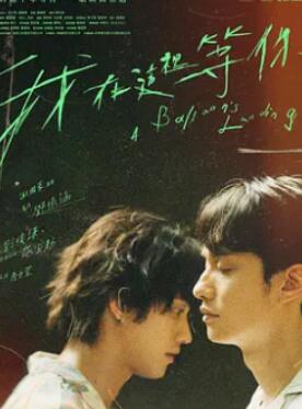 �����������2024