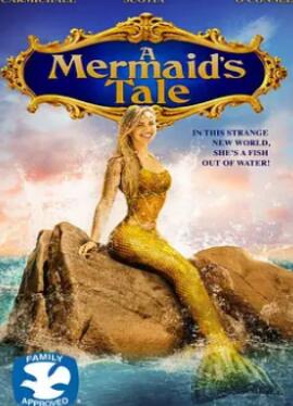 �����������2017