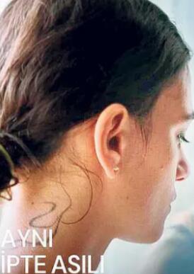 վ��ͬһ��ս����