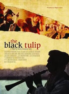 ��ɫ������2010