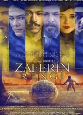 ʤ������ɫ