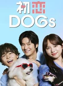 DOGs